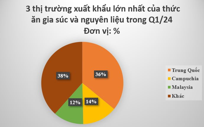 Tình Hình Thị Trường Nhập Khẩu
