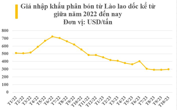 Xu hướng thị trường vàng