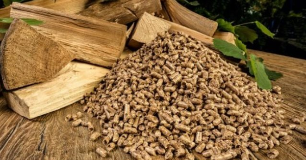Tăng Trưởng Kim Ngạch Xuất Khẩu