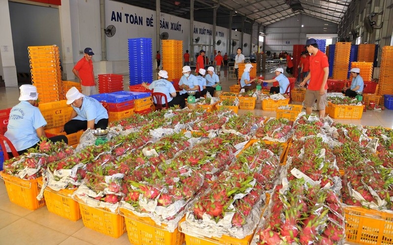 Thông Tin Ký Kết Nghị Định Thư