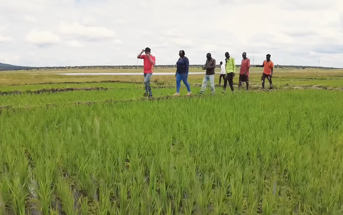 Tình hình canh tác tại Angola